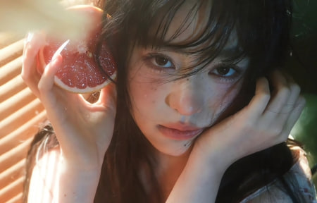 青瓷余温2026